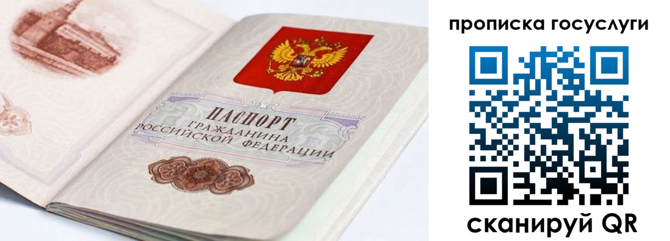 прописка гарантия в Апрелевке